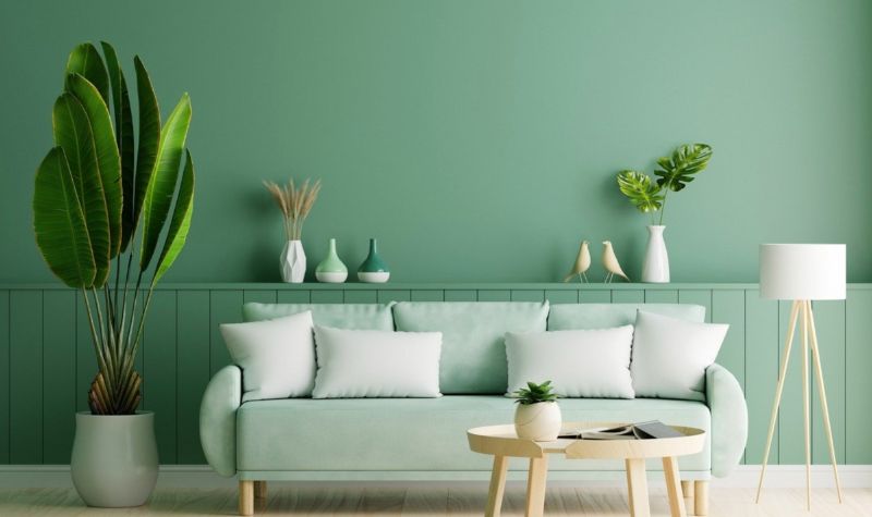 Sustainable Wall Paints - Eco Friendly House renovation tips