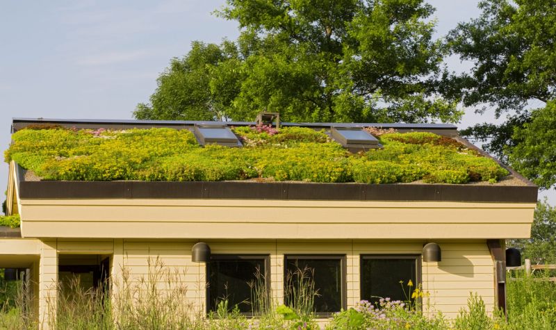 Vegetation Roof - Top Eco-Friendly Home Renovation Ideas