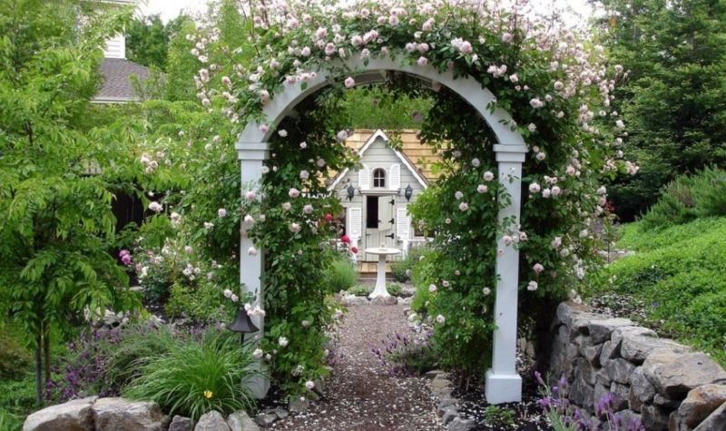 Arbor