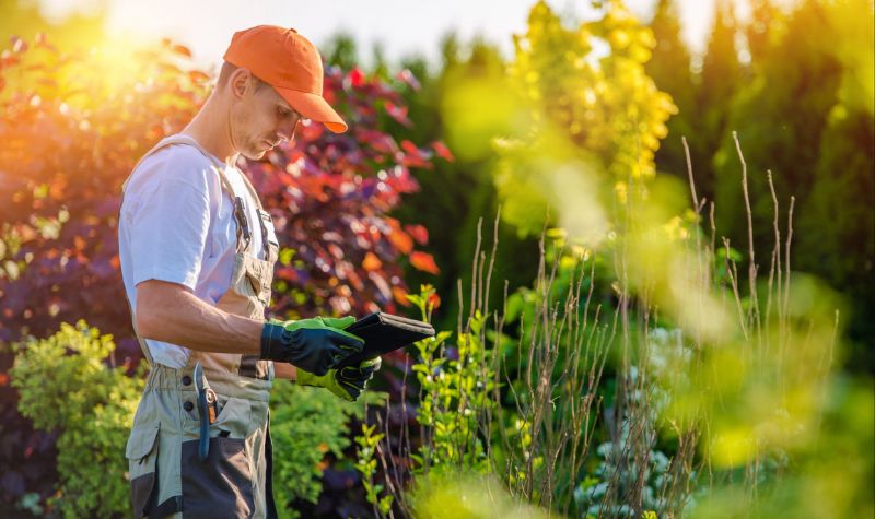 Landscaping Maintenance