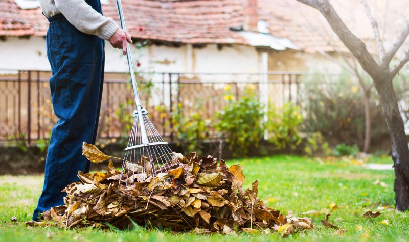 Leaf Removal