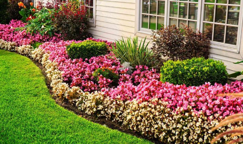 Planting Flower Beds