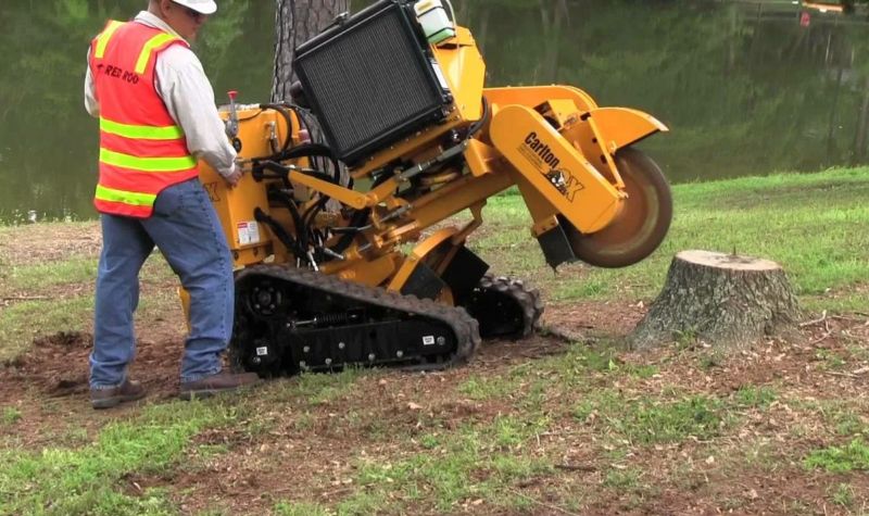 Tree Stump Removal
