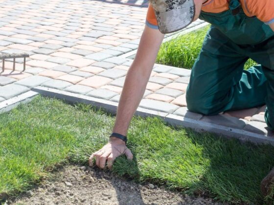 Sod Installation Cost Calculator
