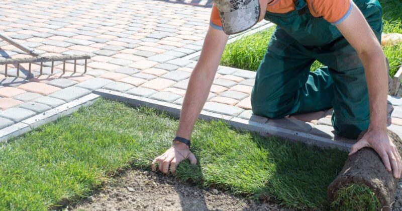 Sod Installation Cost Calculator