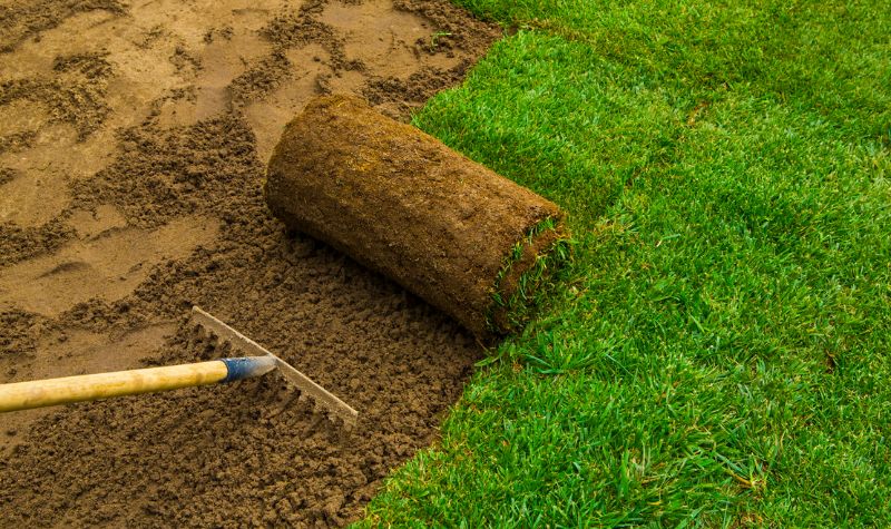 What Factors Impact Sod Installation Cost?