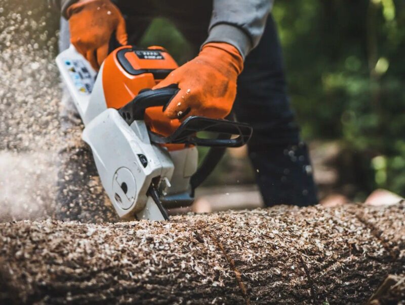 How Much Does It Cost To Cut Down A Tree?